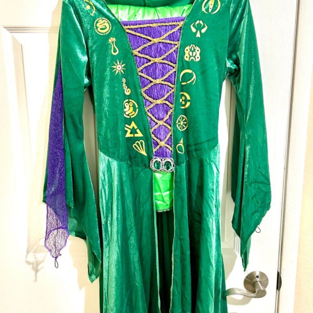 Hocus Pocus Winifred Sanderson Adult Costume Medium